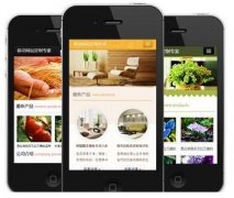 手機(jī)網(wǎng)站怎樣做才更有效果？如何做優(yōu)化？