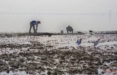 厲害了wuli青島！厲害了wuli紅島?。? /></a></div>
        <div   id=