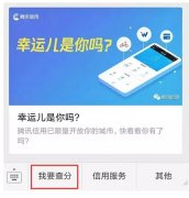 騰訊信用分全國公測，查了一下之后懵逼了。。