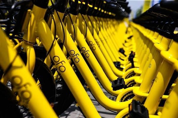 退押金排到1000多萬號，感覺ofo要涼了